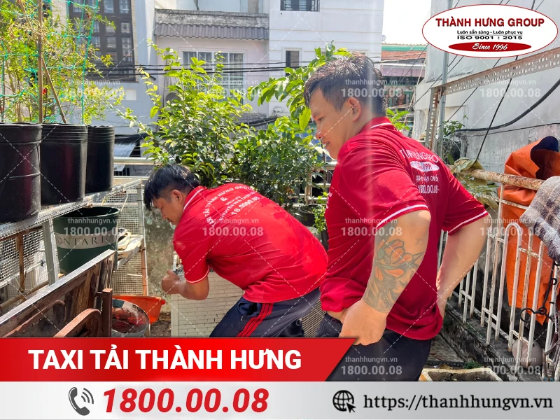 Nhân viên Thành Hưng di chuyển chậu cây trên sân thượng