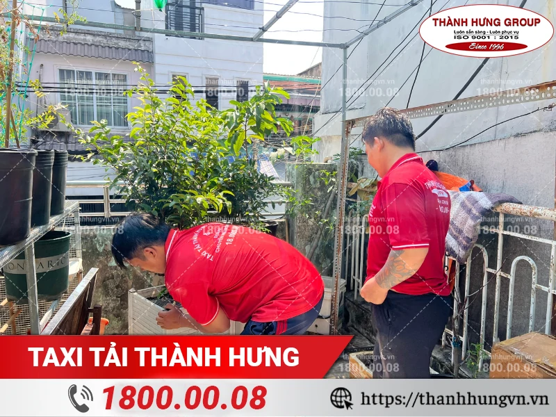 Nhân viên Thành Hưng dọn dẹp vườn cây trên sân thượng trước khi chuyển