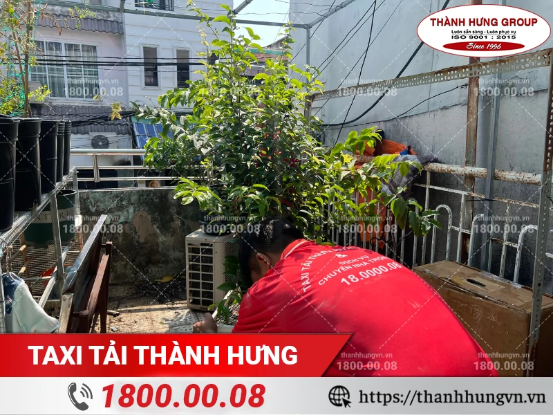 Nhân viên Thành Hưng tháo lưới vườn cây trên sân thượng