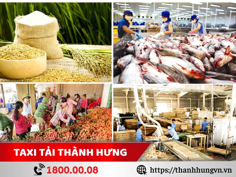 mặt hàng thường xuyên vận chuyển tại quận 1