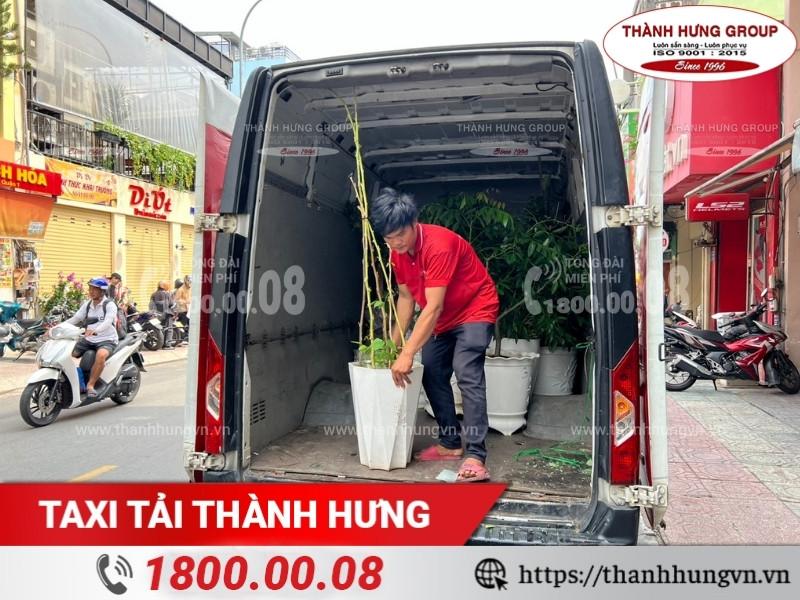 Chậu kiểng được sắp xếp gọn gàng trong thùng xe tải.