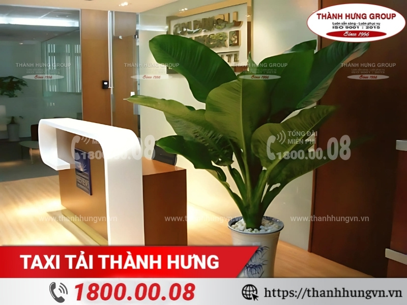 Đặt cây xanh lớn chắn lối ra vào