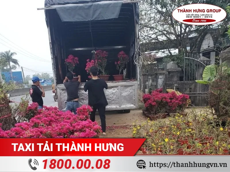 Dịch vụ vận chuyển hoa tươi Thành Hưng có quy mô hoạt động rộng khắp