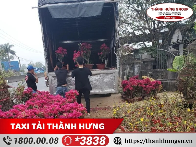 Dịch vụ vận chuyển hoa tươi Thành Hưng có quy mô hoạt động rộng khắp