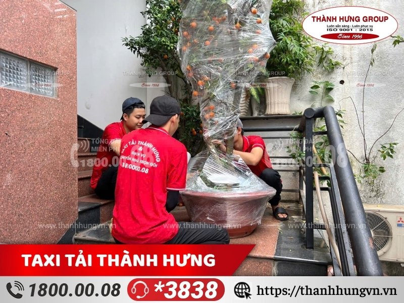 Dự án vận chuyển cây cảnh huyện Củ Chi