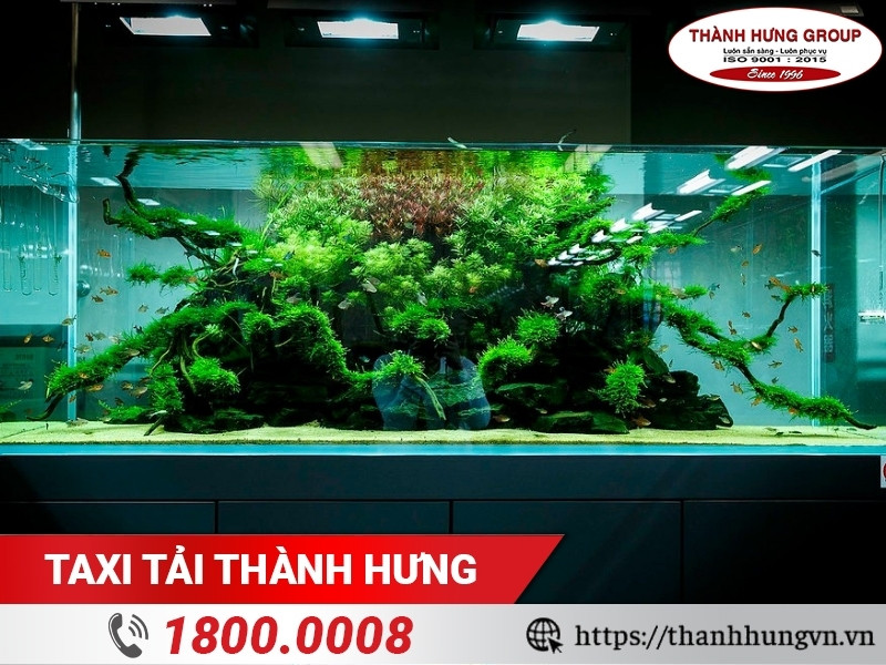 Khó khăn khi vận chuyển bể cá cảnh