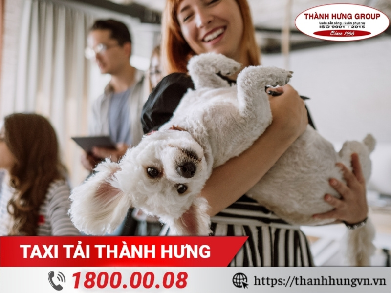 Kinh nghiệm chuyển nhà khi có thú cưng