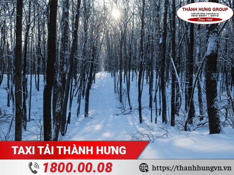 Ngày Đông chí là gì?