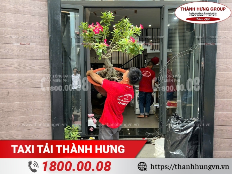 Nhân viên Thành Hưng bốc xếp chậu kiểng.