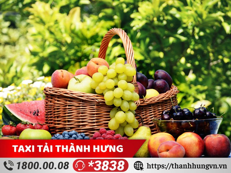 Nhu cầu vận chuyển trái cây toàn quốc hiện nay