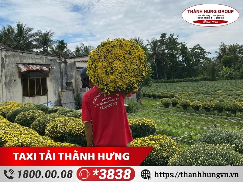 Những lưu ý khi vận chuyển hoa dịp tết