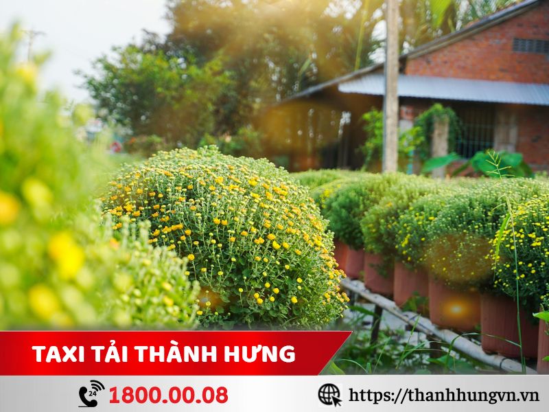 Những mặt hàng thường được vận chuyển từ TpHCM đi Bến Tre