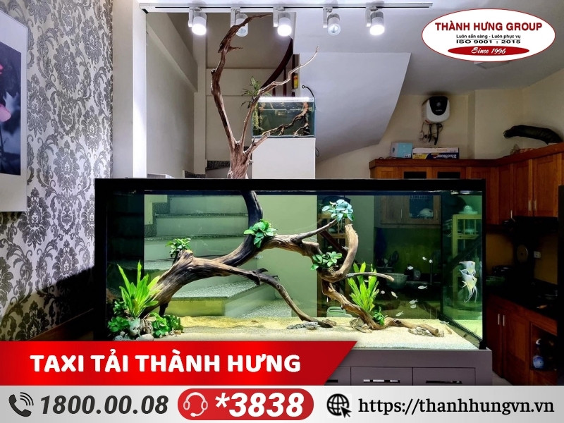 Quy trình vận chuyển bể cá của Thành Hưng