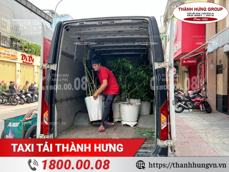 Taxi Tải Thành Hưng - vận chuyển cây cảnh an toàn, chuyên nghiệp.