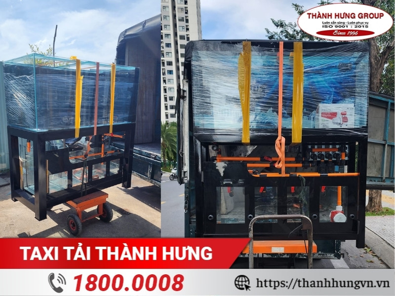 Cách vận chuyển bể cá an toàn, đơn giản