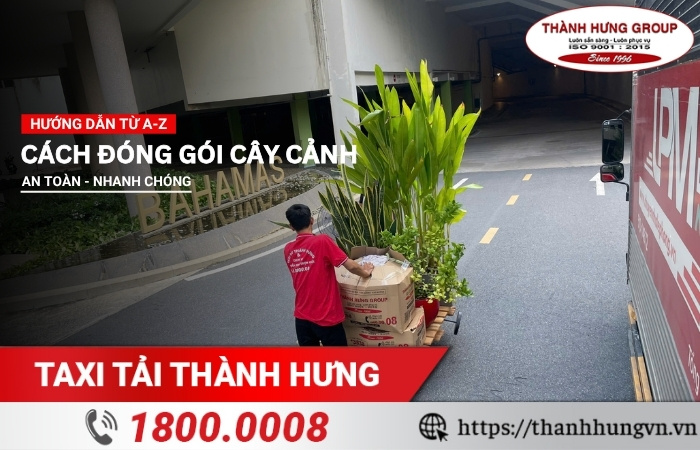 Cách đóng gói cây cảnh