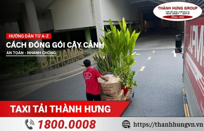 Cách đóng gói cây cảnh