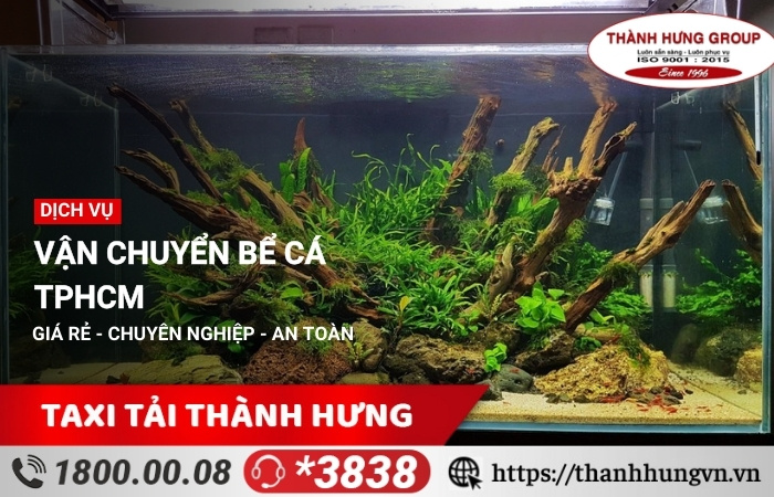 Vận chuyển bể cá