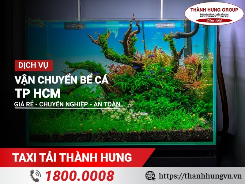 Vận chuyển bể cá